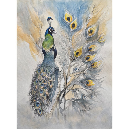 Pawie zwierciadło, Akwarela 24x 32 cm, Joanna Tomczyk, obrazy akwarela