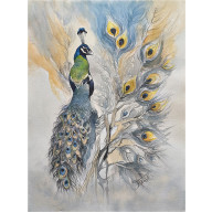 Pawie zwierciadło, Akwarela 24x 32 cm