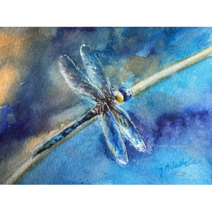 Blue fly  (akwarela miniaturka  w oprawie), Joanna Magdalena, obrazy akwarela