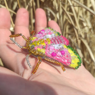 Haftowana broszka kolorowa ćma