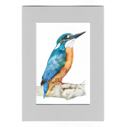 Zimorodek - akwarela z passe portout, Magdalena Malik, obrazy akwarela