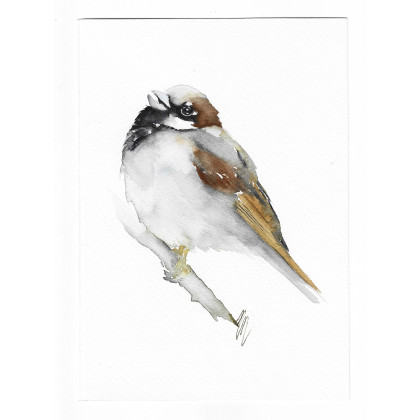 Wróbel-  obraz akwarelowy, Magdalena Malik, obrazy akwarela