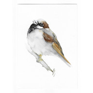Wróbel-  obraz akwarelowy