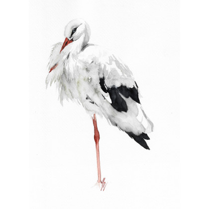 Bocian - obraz akwarelowy, Magdalena Malik, obrazy akwarela