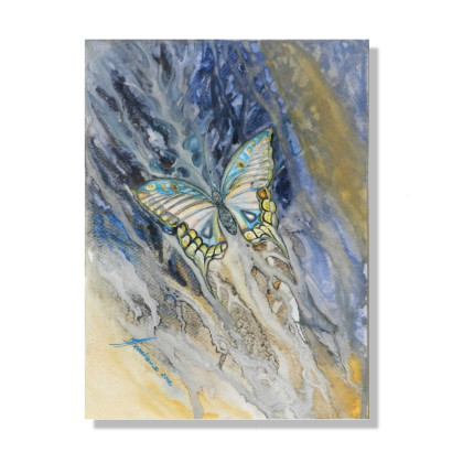 Motyl -  akwarela, Jolanta Frankiewicz, obrazy akwarela