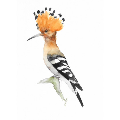 Dudek - obraz akwarelowy, Magdalena Malik, obrazy akwarela