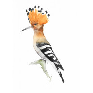 DUDEK - OBRAZ AKWARELOWY