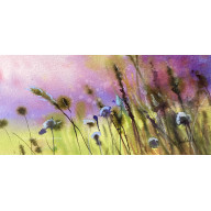 Zapachy lata  (akwarela miniaturka  w oprawie)