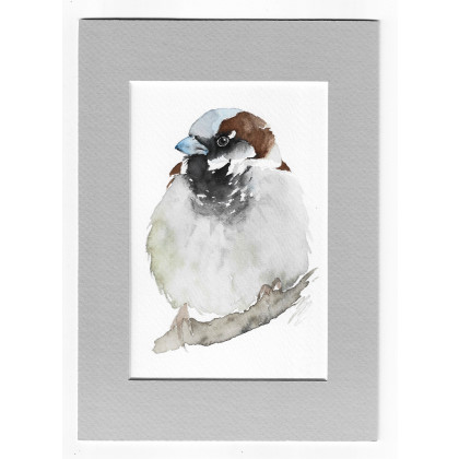 Wróbel - akwarela z passe portout, Magdalena Malik, obrazy akwarela