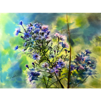 Iskry, Joanna Magdalena, obrazy akwarela