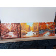 WYPRZEDAŻ KOLEKCJI - TRYPTYK NATURY AKRYLOWY JESIENNE ŚWIATŁO - 90cm x 24cm