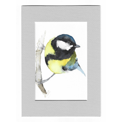 Sikora bogatka - akwarela z passe portout, Magdalena Malik, obrazy akwarela