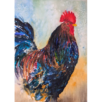 Kogut, Ewelina Zajączkowska, obrazy akwarela