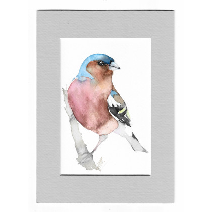 Zięba - akwarela z passe portout, Magdalena Malik, obrazy akwarela