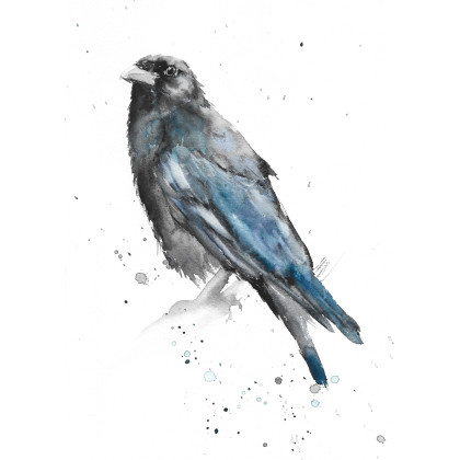 Kruk - obraz akwarelowy, Magdalena Malik, obrazy akwarela