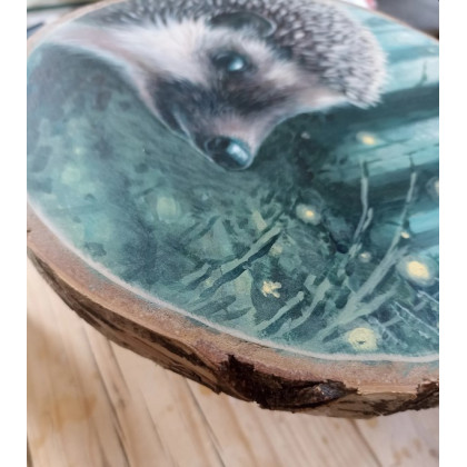 Joanna Podolska - obrazy akryl - Jeż na drewnie brzozowym foto #2