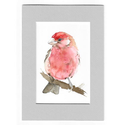 Dziwonia - akwarela z passe portout, Magdalena Malik, obrazy akwarela