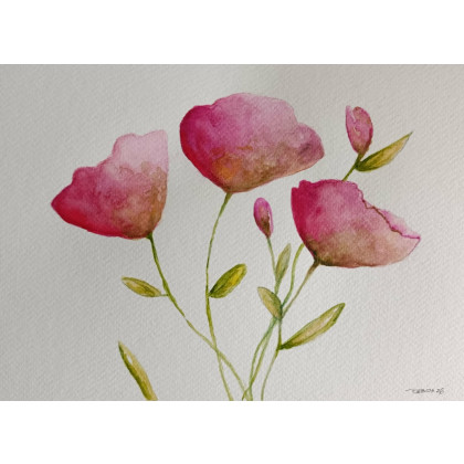 Paulina Lebida - obrazy akwarela - Maki-  akwarela formatu 18/24 cm foto #1