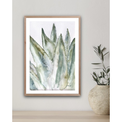 Aloes A4 - akwarela, Marta Hajduk-Pawlica, obrazy akwarela