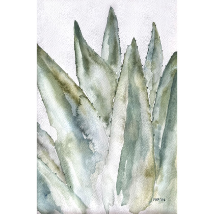 Marta Hajduk-Pawlica - obrazy akwarela - Aloes A4 - akwarela foto #1