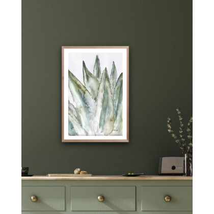 Marta Hajduk-Pawlica - obrazy akwarela - Aloes A4 - akwarela foto #3