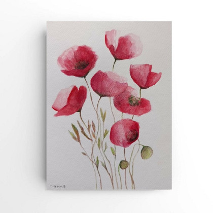 Maki-  akwarela formatu 24/18 cm, Paulina Lebida, obrazy akwarela