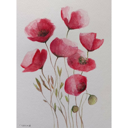 Paulina Lebida - obrazy akwarela - Maki-  akwarela formatu 24/18 cm foto #1