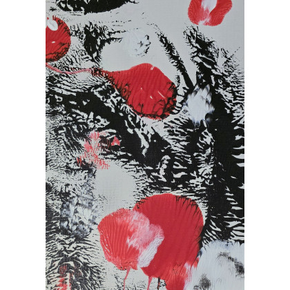 Ewa Mościszko - obrazy tech. mieszana - Kompozycja maki na plotnie , bez ramy foto #2