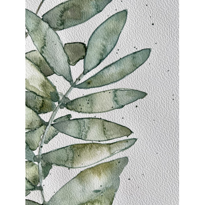 Marta Hajduk-Pawlica - obrazy akwarela - Listki A4 - akwarela foto #3