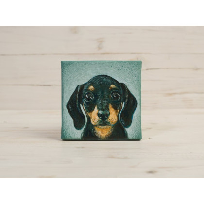 Joanna Podolska - obrazy akryl - Jamniczek, obraz 10x10cm foto #3