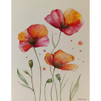 Paulina Lebida - obrazy akwarela - Maki-  akwarela formatu 24/18 cm foto #1