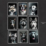 PSIE PORTRETY - ZESTAW 9 GRAFIK 15X21 CM