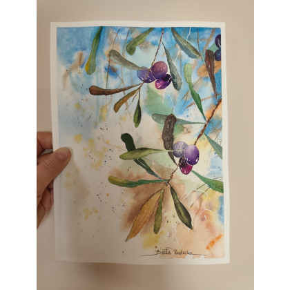 Oryginalna akwarela Oliwki Kalamata 19x26 Handmade, Beata Rudecka, obrazy akwarela