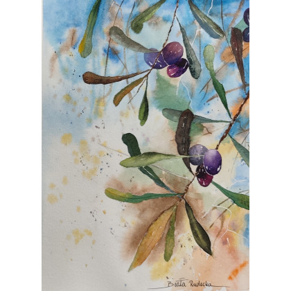 Beata Rudecka - obrazy akwarela - Oryginalna akwarela Oliwki Kalamata 19x26 Handmade foto #1
