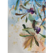 Oryginalna akwarela Oliwki Kalamata 19x26 Handmade