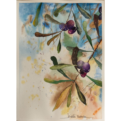 Beata Rudecka - obrazy akwarela - Oryginalna akwarela Oliwki Kalamata 19x26 Handmade foto #2