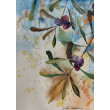 Oryginalna akwarela Oliwki Kalamata 19x26 Handmade