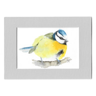 SIKORA MODRASZKA - AKWARELA Z PASSE PORTOUT