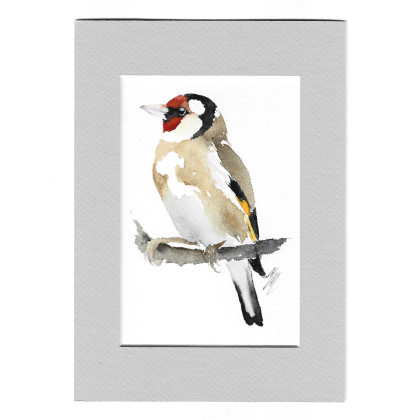 Szczygieł - akwarela z passe portout, Magdalena Malik, obrazy akwarela