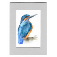 ZIMORODEK - AKWARELA Z PASSE PORTOUT