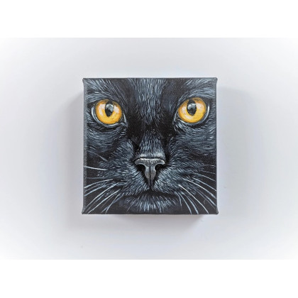 Czarny kot, obraz 10x10cm, Joanna Podolska, obrazy akryl