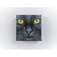CZARNY KOT, OBRAZ 10X10CM