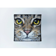 BURY KOT, OBRAZEK 10X10CM