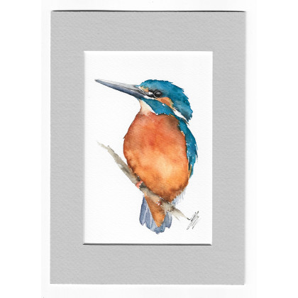 Zimorodek - akwarela z passe portout, Magdalena Malik, obrazy akwarela