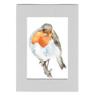 Rudzik - akwarela z passe portout