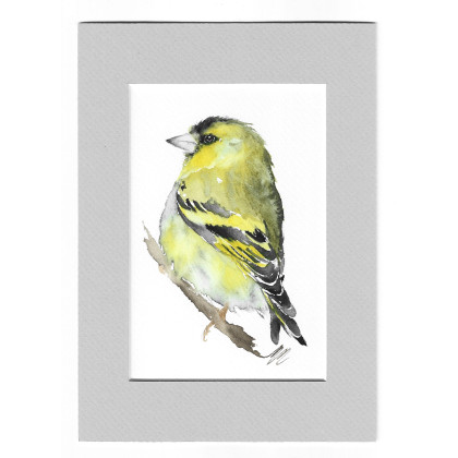 Czyżyk - akwarela z passe portout, Magdalena Malik, obrazy akwarela