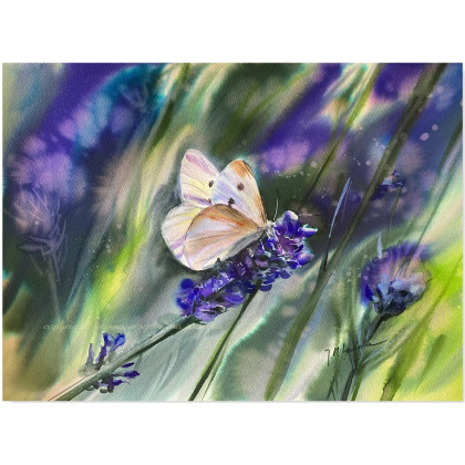 Ultrafiolet, Joanna Magdalena, obrazy akwarela