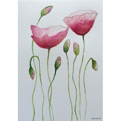 Paulina Lebida - obrazy akwarela - Maki 2-  akwarela formatu A5 foto #1