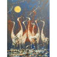 Żurawinie nocą....