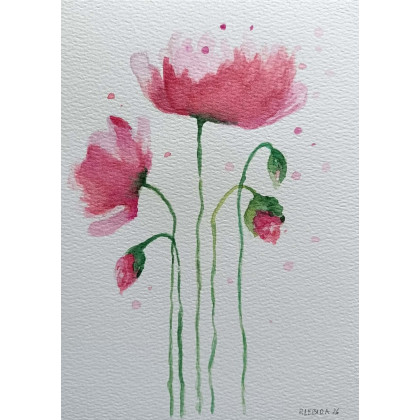 Paulina Lebida - obrazy akwarela - Maki -  akwarela formatu A5 foto #1